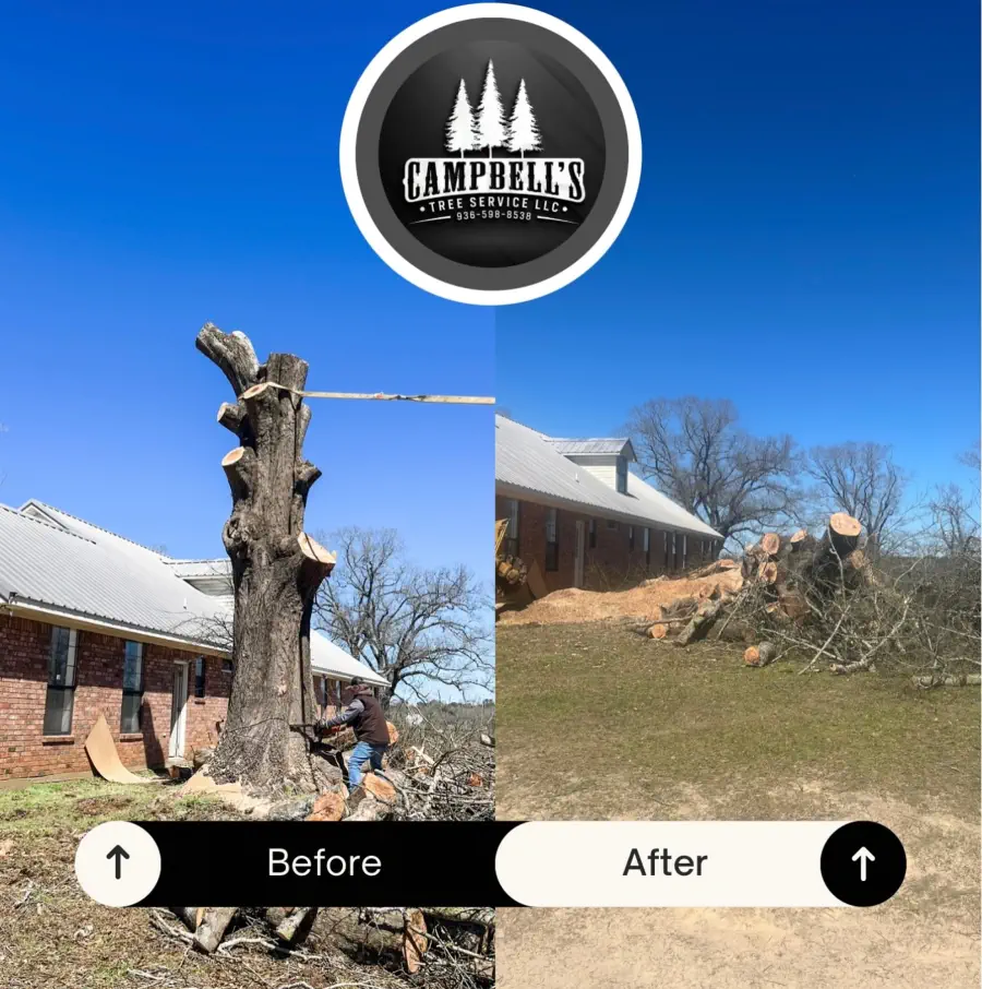 Pasture & Lot Clearing - after