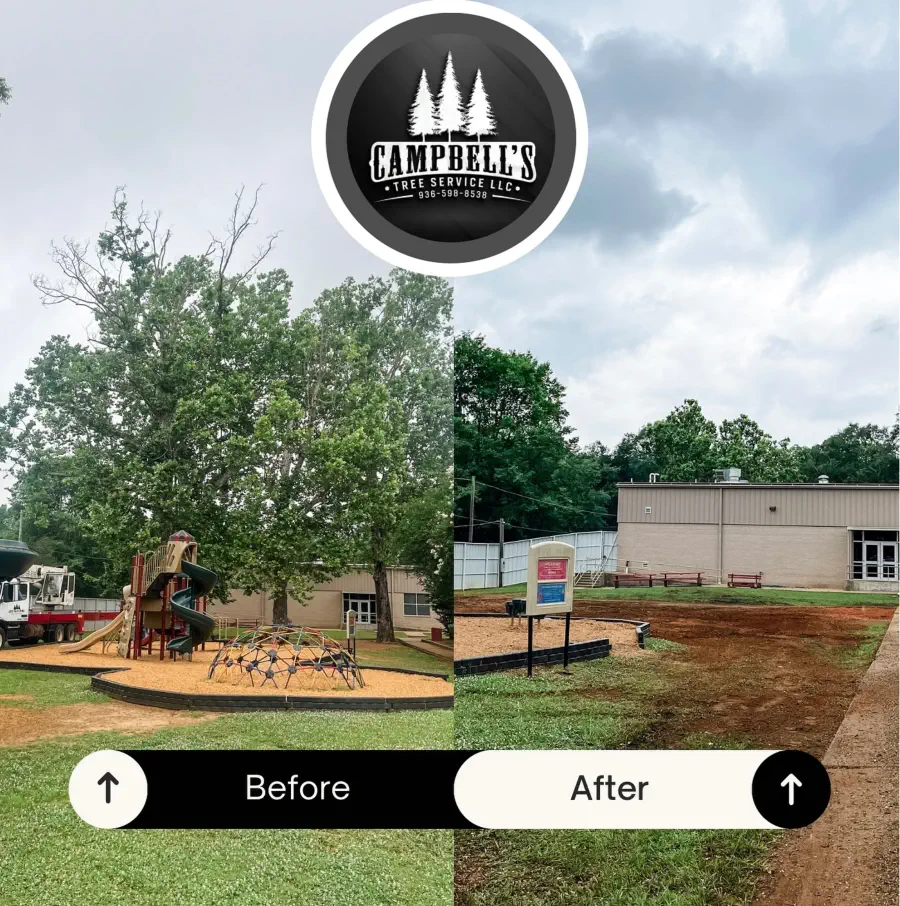 Storm Damage Cleanup - after