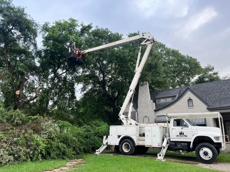 Campbell's Tree Service project 1018