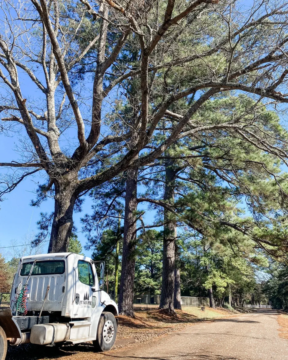 Campbell's Tree Service project 1020