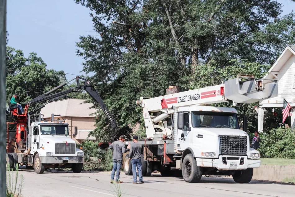 Campbell's Tree Service project 342
