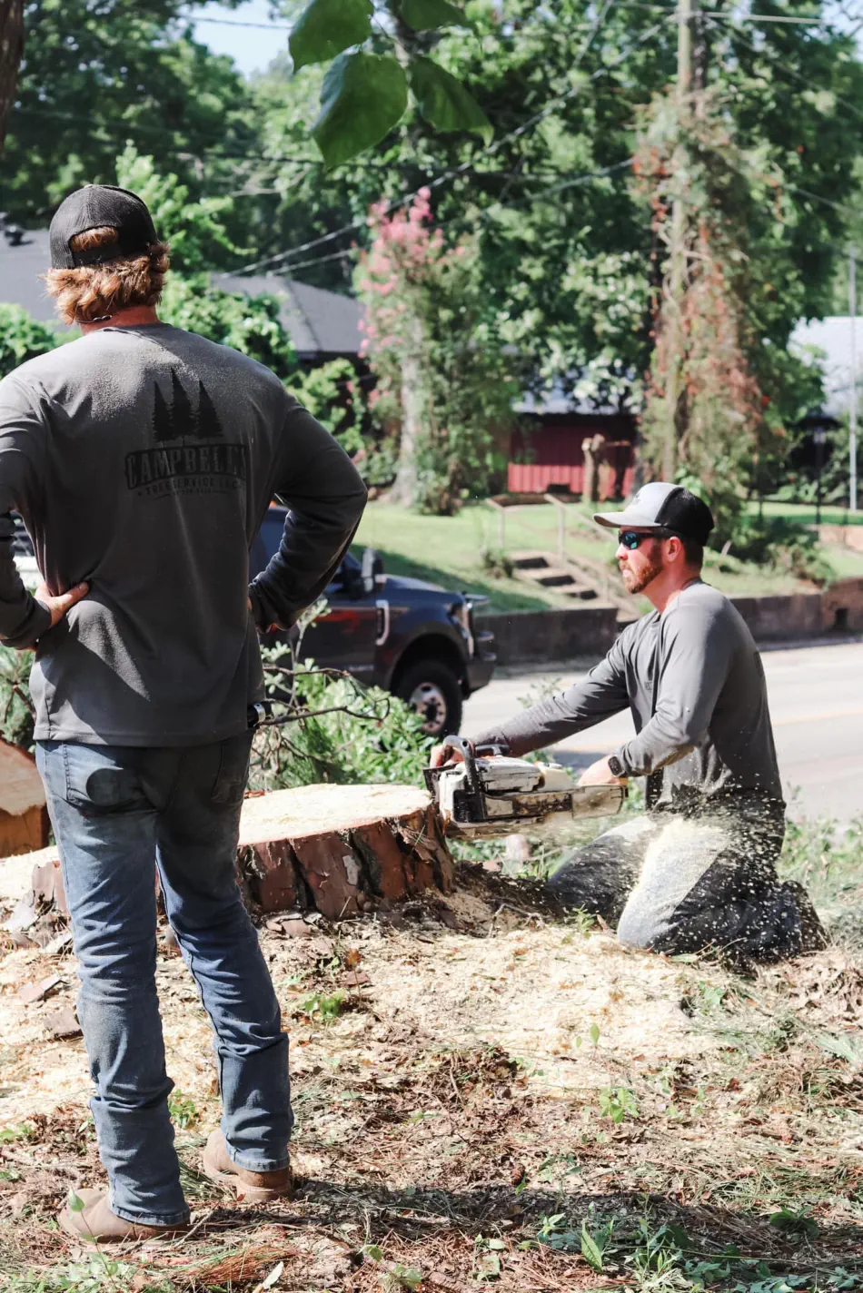 Campbell's Tree Service project 343
