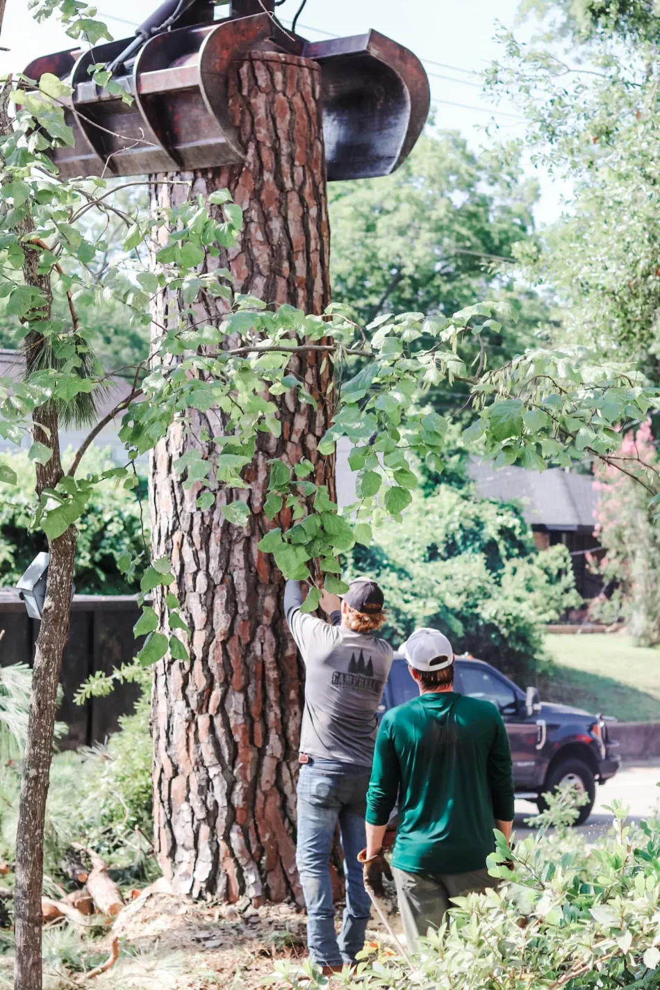 Campbell's Tree Service project 344