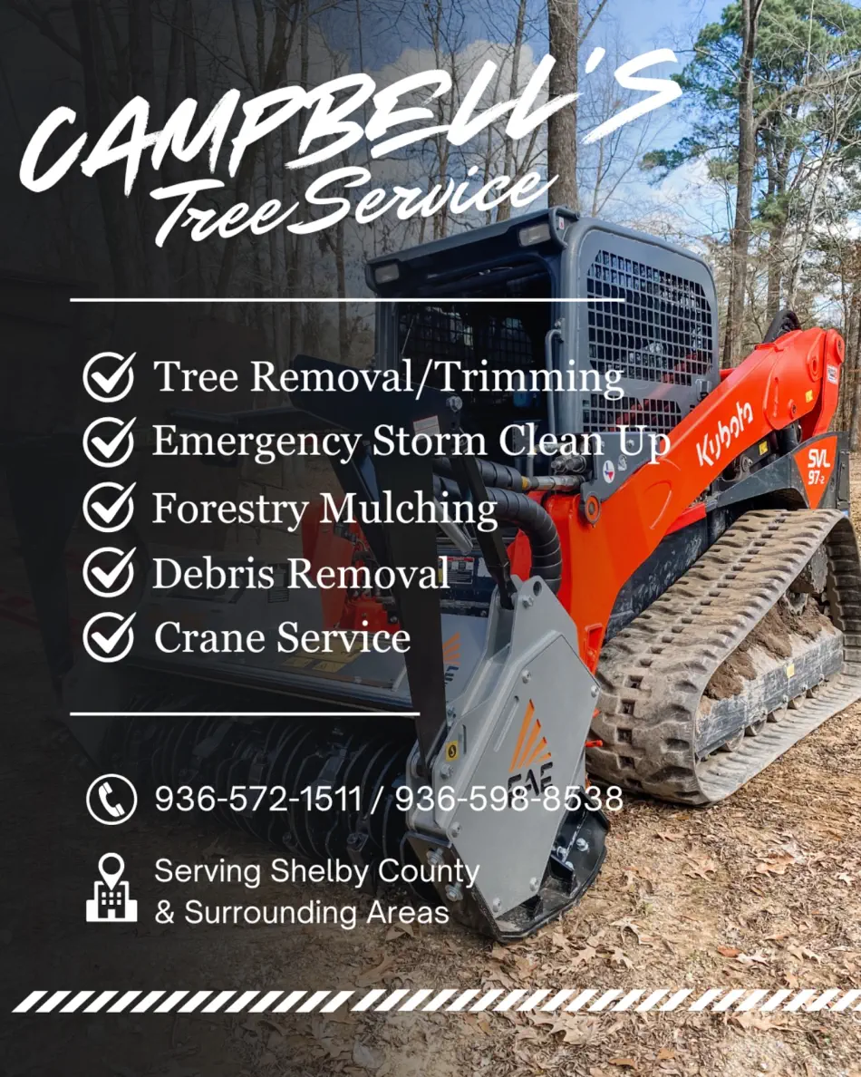Campbell's Tree Service project 349
