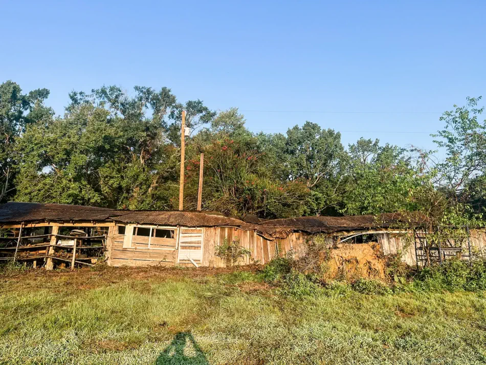 Campbell's Tree Service project 352