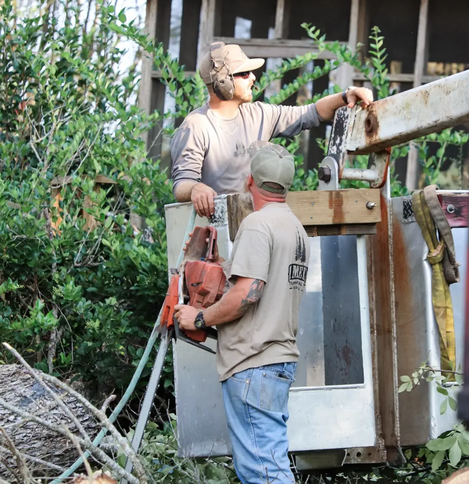Campbell's Tree Service project 353