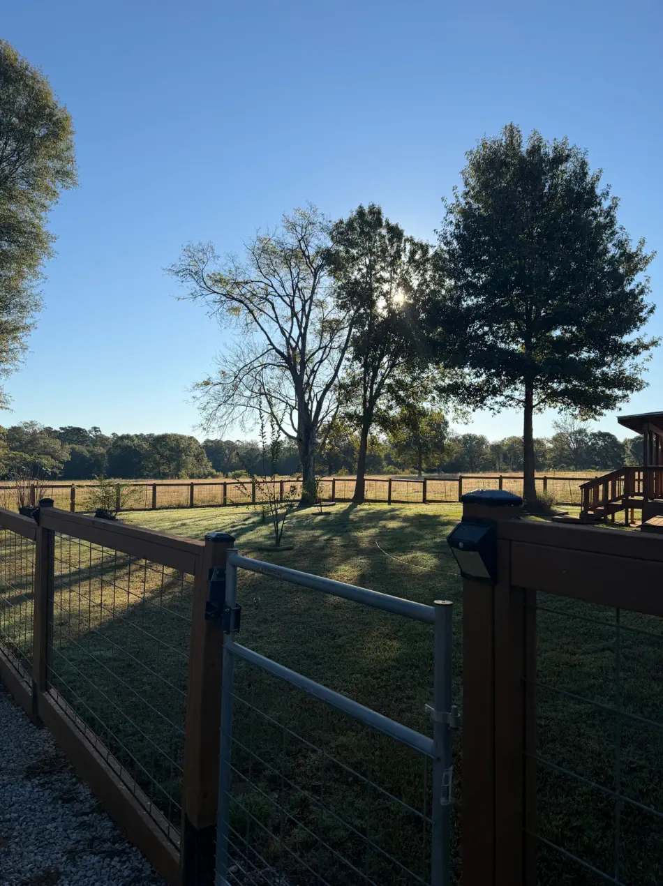 Campbell's Tree Service project 360