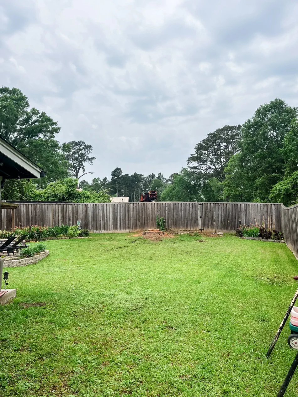 Campbell's Tree Service project 369