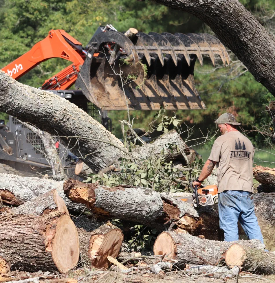 Campbell's Tree Service project 372