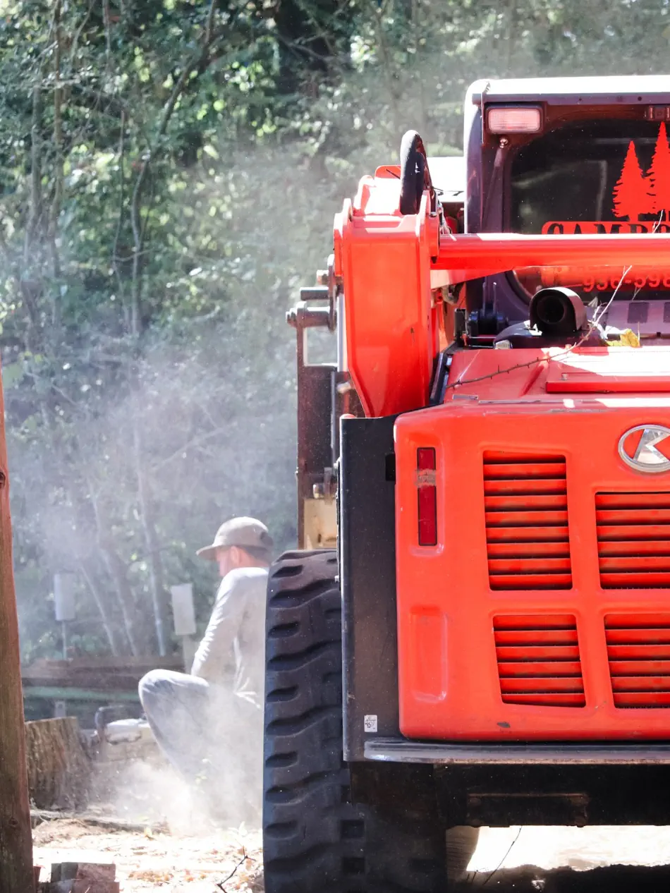 Campbell's Tree Service project 376