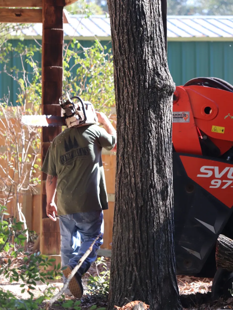 Campbell's Tree Service project 377