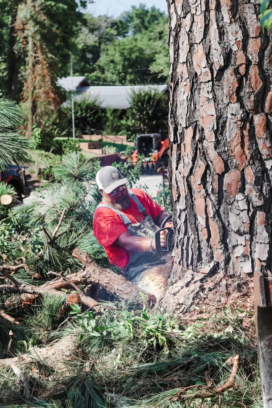 Campbell's Tree Service project 378