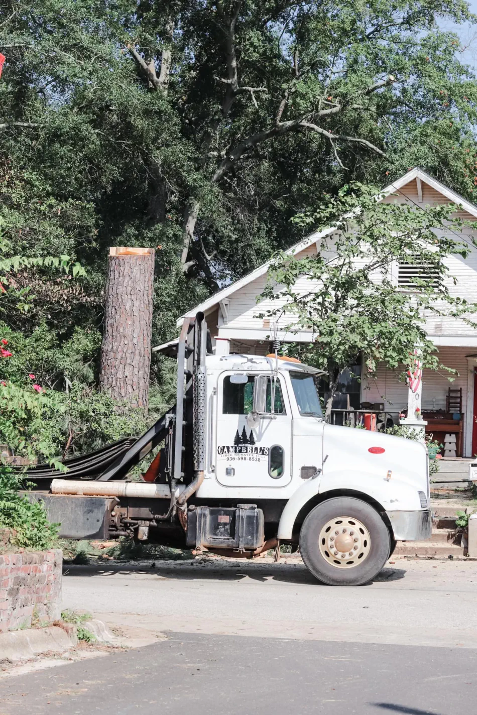 Campbell's Tree Service project 379