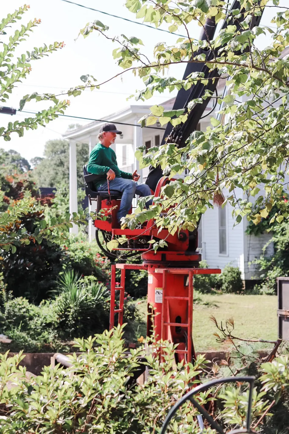 Campbell's Tree Service project 380