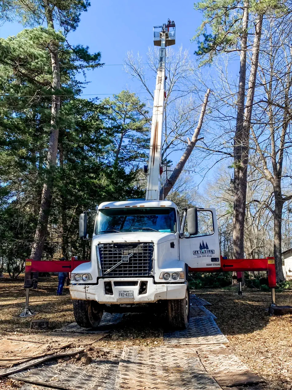 Campbell's Tree Service project 382