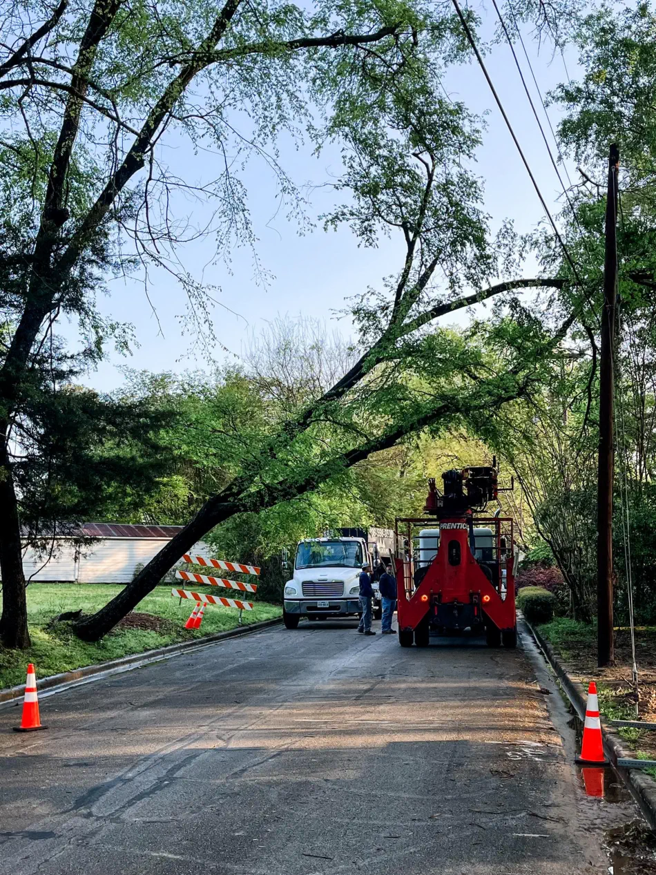Campbell's Tree Service project 385