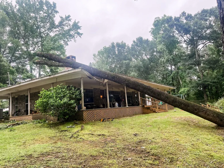 Campbell's Tree Service project 387