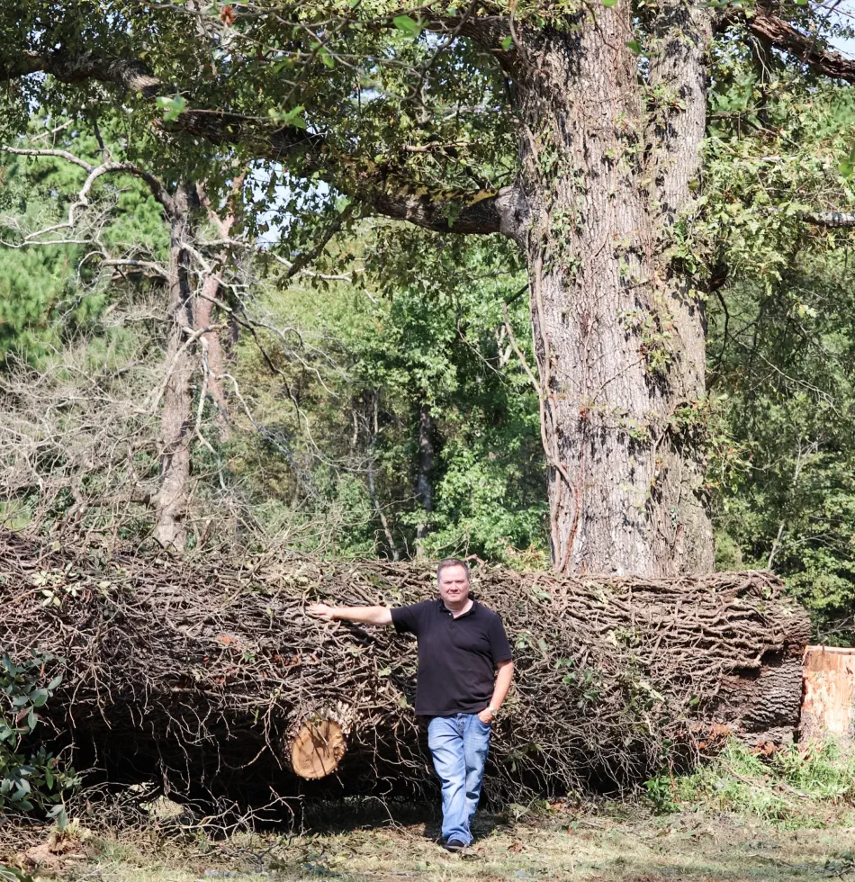 Campbell's Tree Service project 389