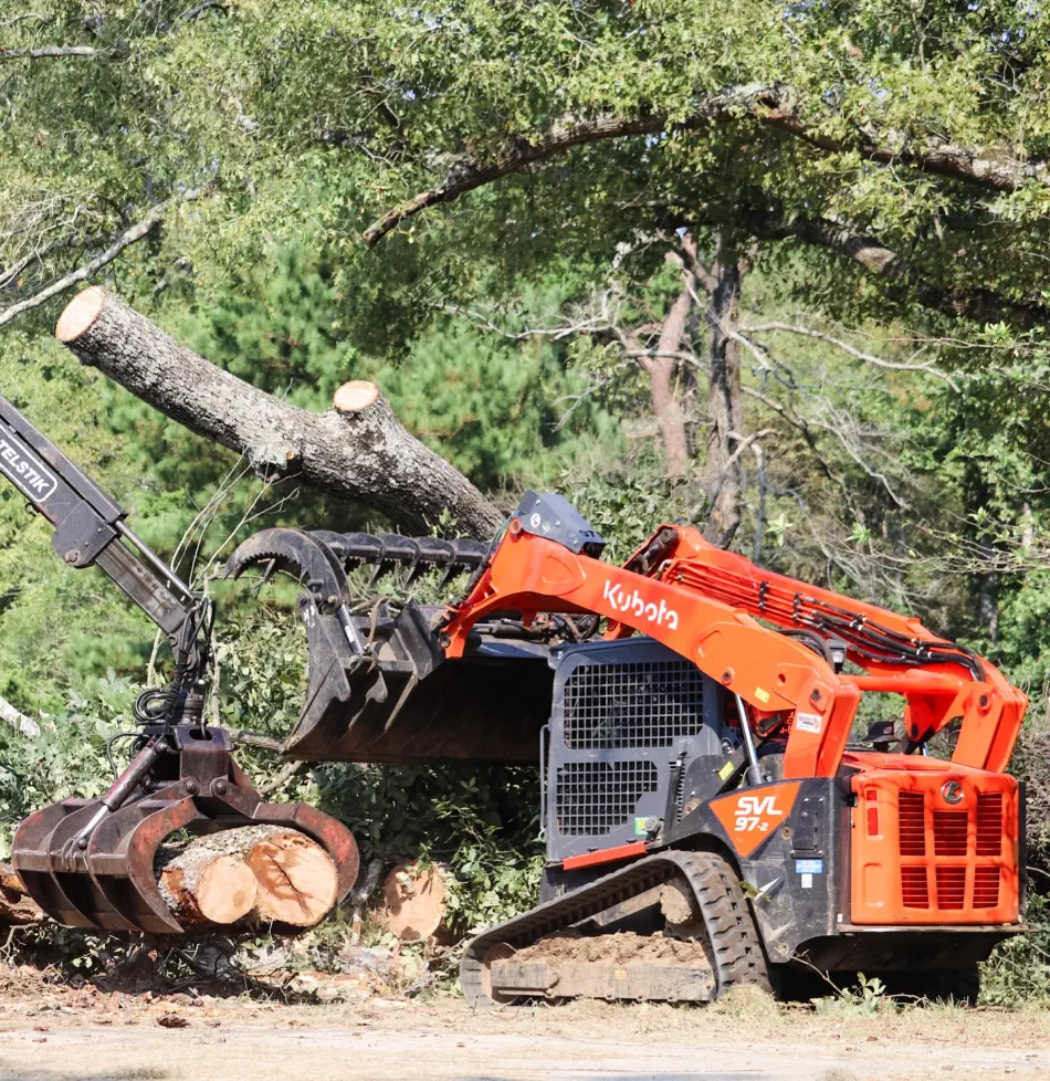 Campbell's Tree Service project 390