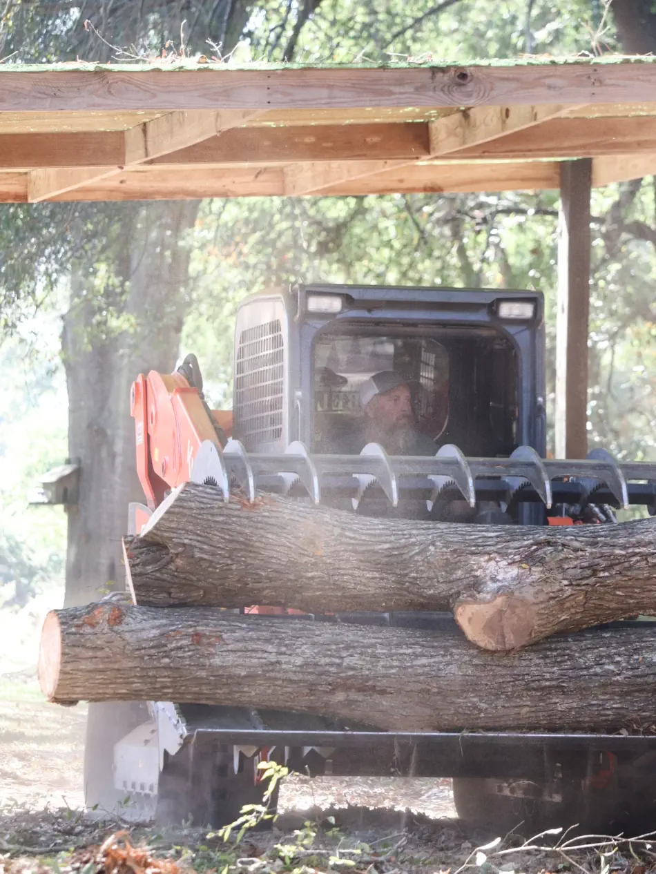 Campbell's Tree Service project 394