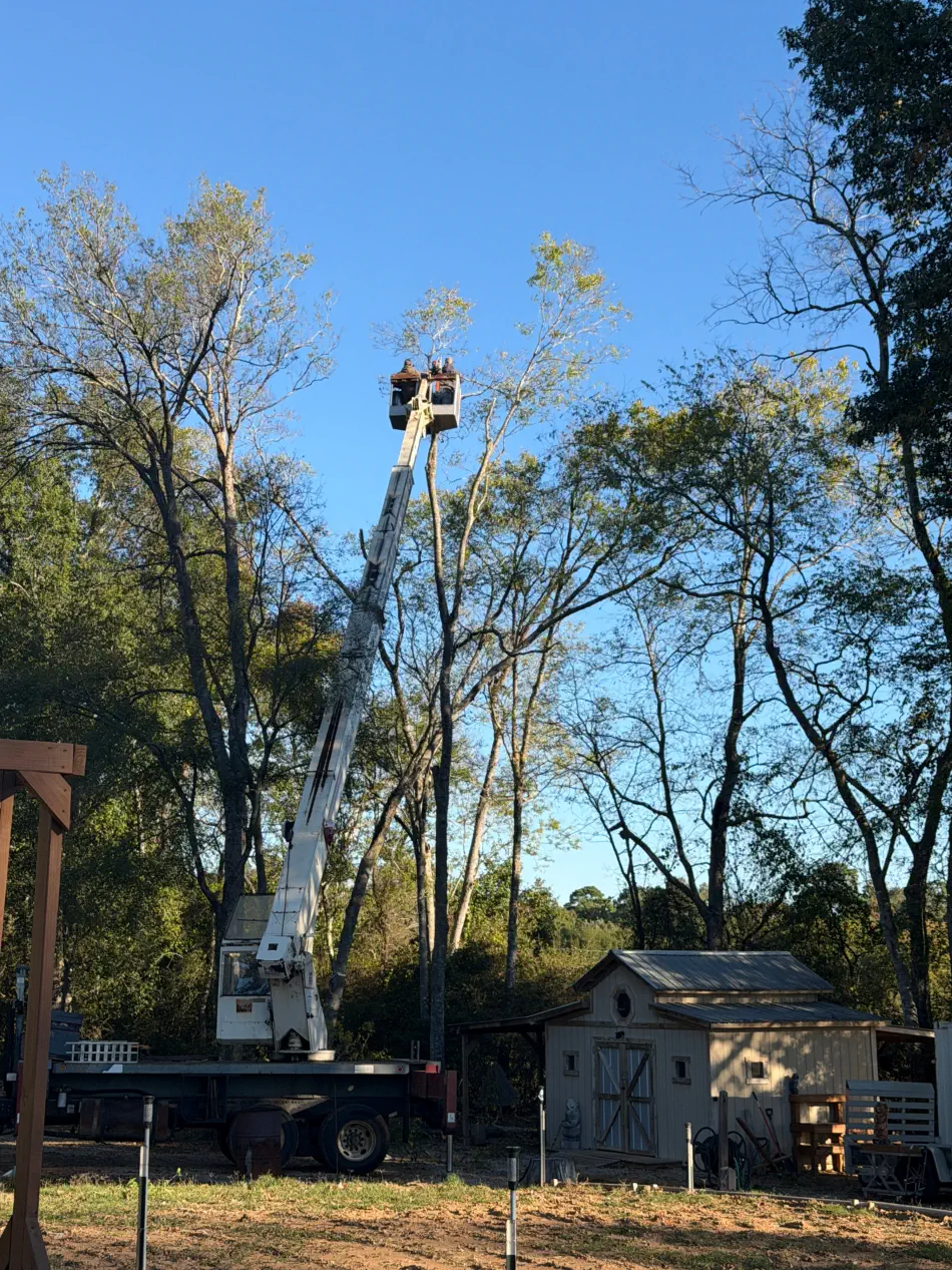 Campbell's Tree Service project 396