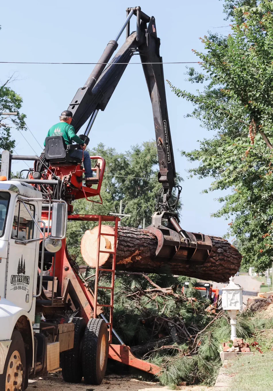 Campbell's Tree Service project 397