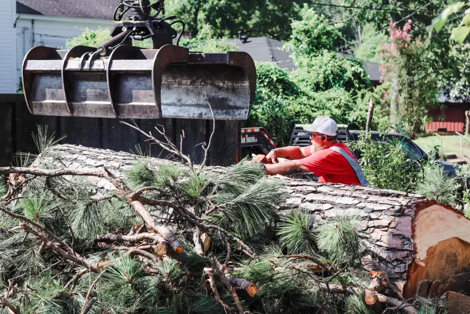 Campbell's Tree Service project 399