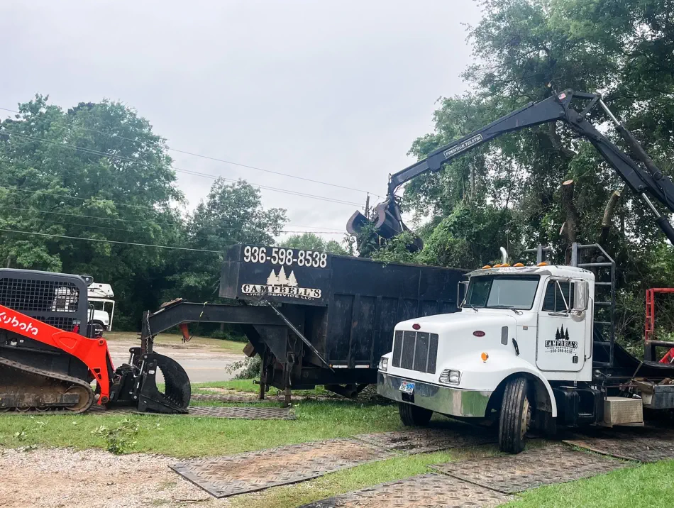 Campbell's Tree Service project 405