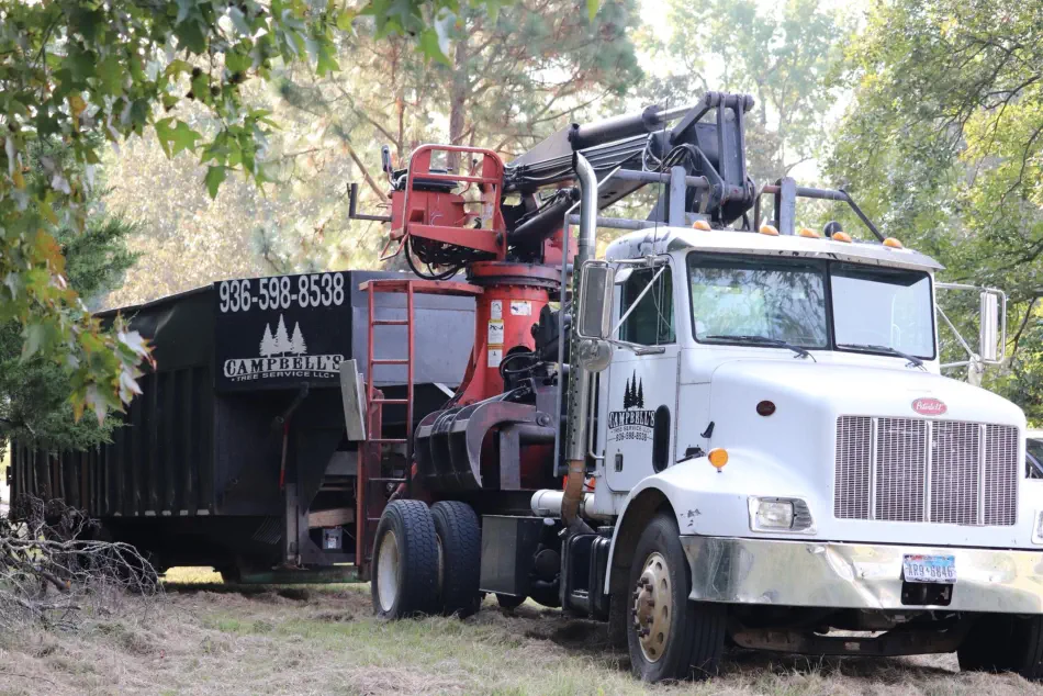 Campbell's Tree Service project 406