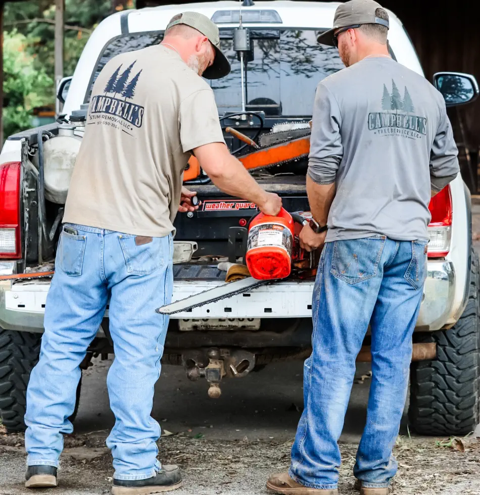 Campbell's Tree Service project 407