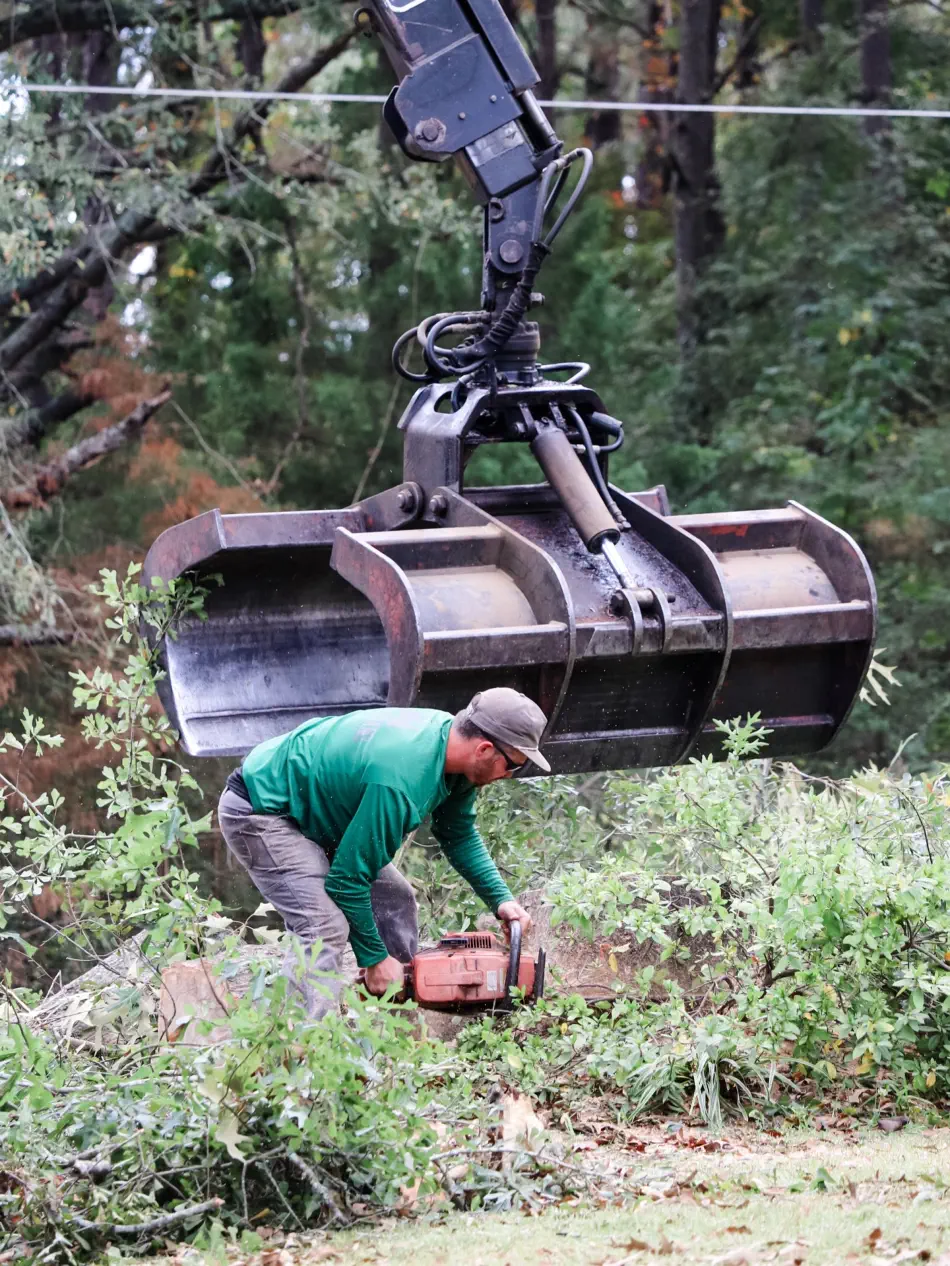 Campbell's Tree Service project 410
