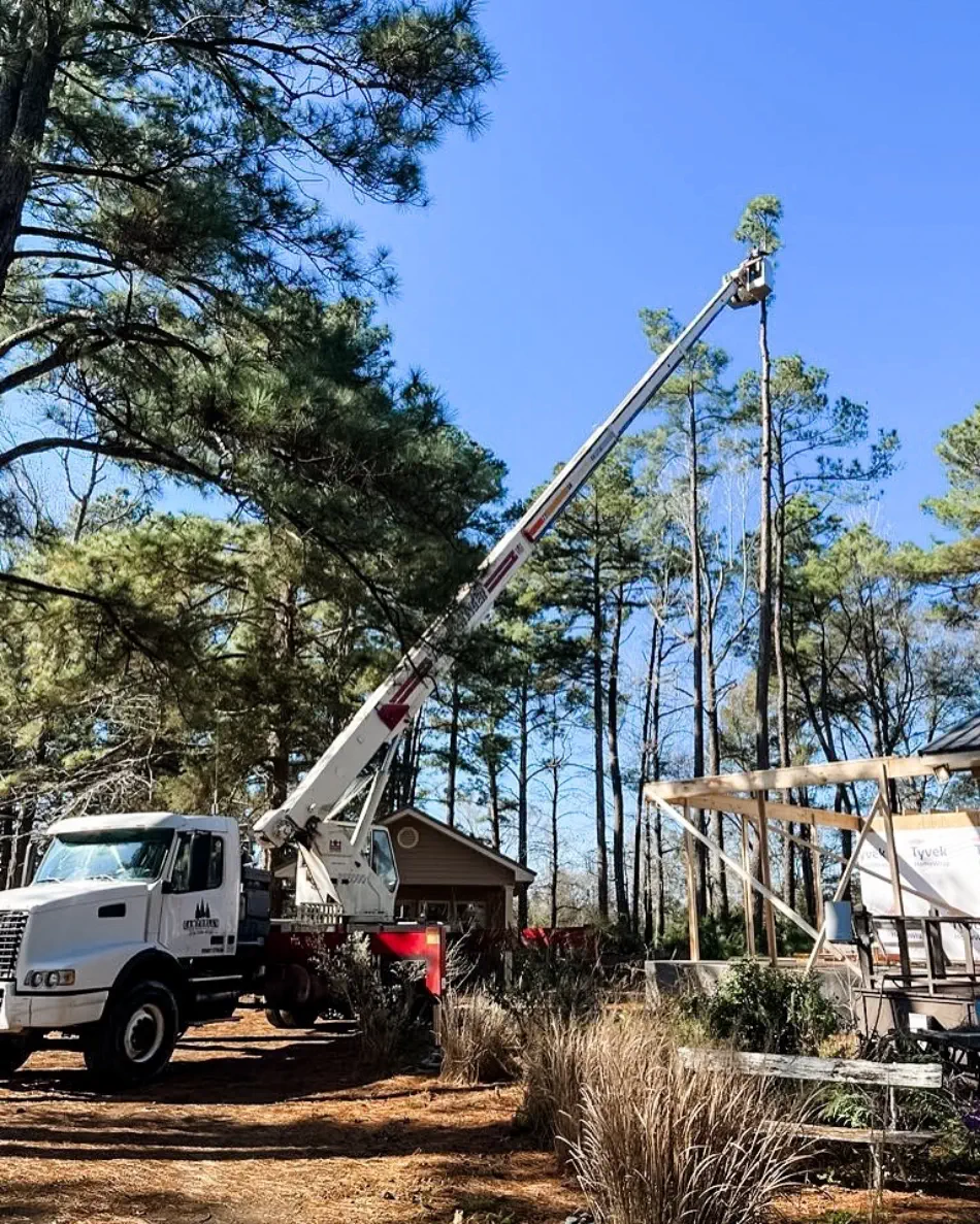 Campbell's Tree Service project 495