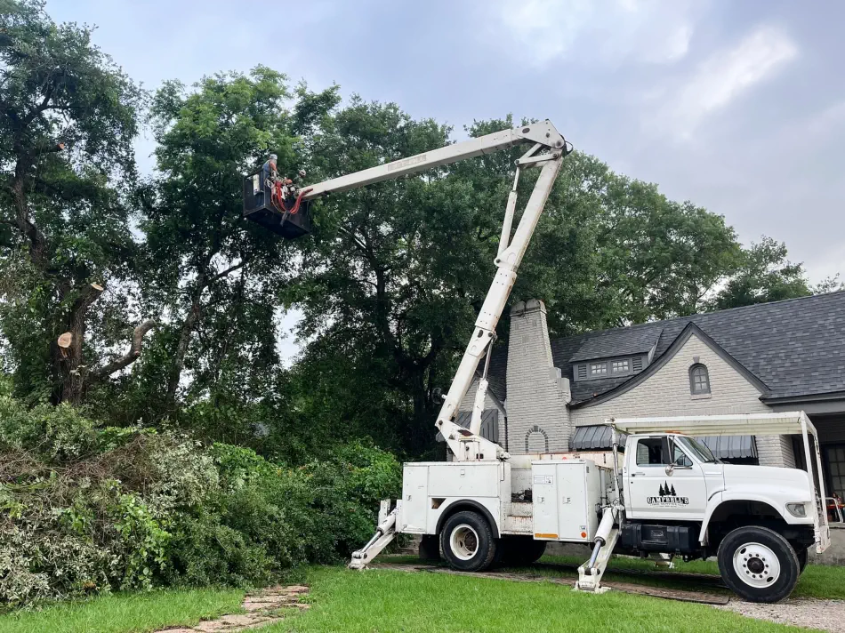 Campbell's Tree Service project 496