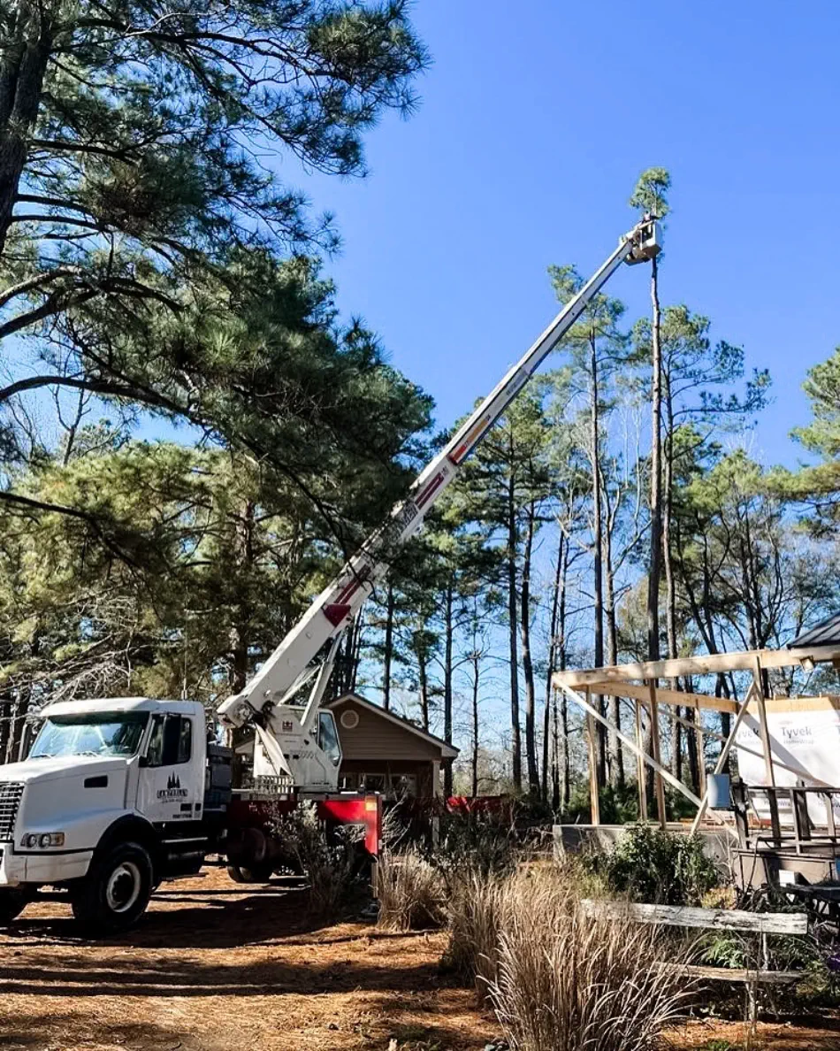 Campbell's Tree Service project 946